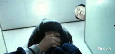 国产女厕,探索女性空间与生活品质的融合之道