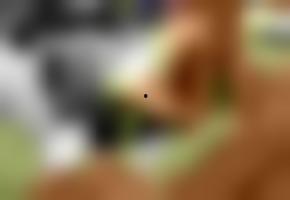 国产欧美高清在线观看